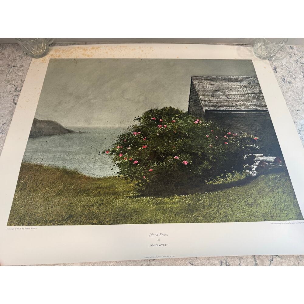 1978 lithograph print of "Island Roses" by American artist Jamie Wyeth